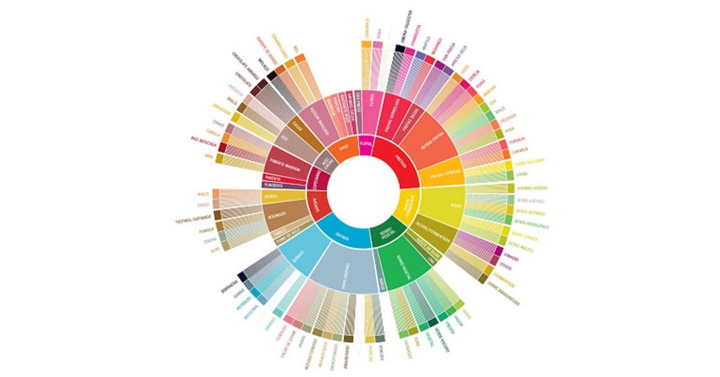 Como é formado o sabor do café e como desenvolver seu paladar