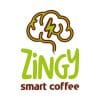 01_Manual ZINGY_logo def